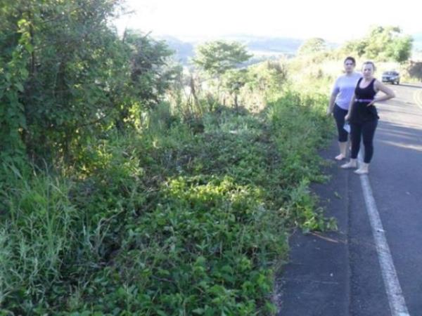 Brezilya'da ekilen fotoraflar 'dnyann en garip kazas' dedirtecek cinsten.