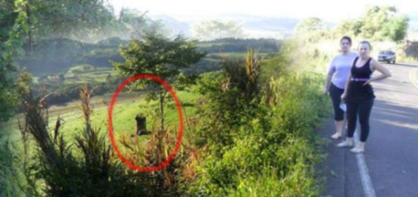 Hzla yoldan kan ara bo araziye savruldu