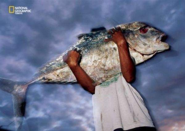 National Geographic'ten muhteem kareler