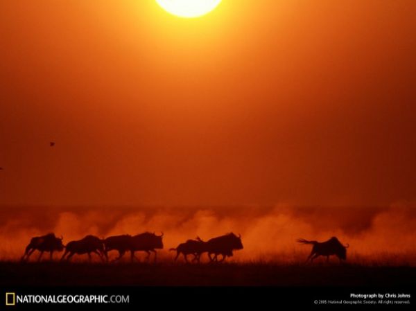 National Geographic'ten muhteem kareler