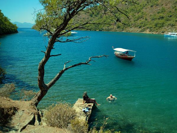 Seyirci says 32 milyonu at Sinema izleyicisi saysnda geen yln ayn dnemine gre 6 milyon civarnda art yaand. Yerli yapm komedilerin, toplam seyirci saysnn neredeyse yarsn beyaz perdeye ekerek hakimiyetini srdren ilk 4 Trk filmini 14 milyon 820 bin 187 kii izledi.