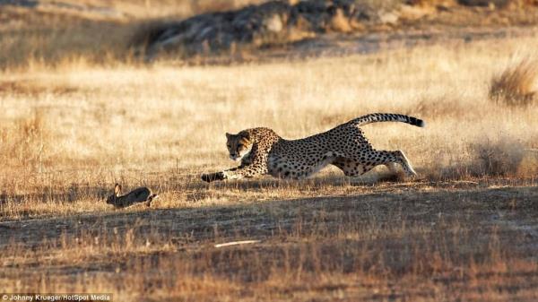 Ancak ita aray srekli kapatt...