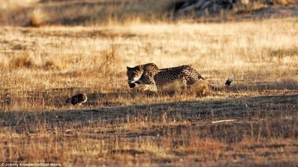 A ita ayana gelen avna hamle yapt...