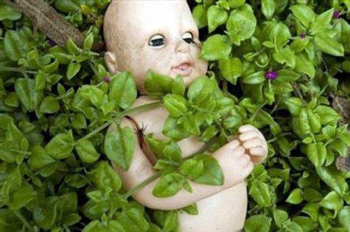 Bugn Bebekler Adas, dnyann en ilgin turist merkezlerinden biri olarak grlyor. Blgeyi ziyaret eden baz turistler bebeklerin fsldatn ve onlarn ruhlarn doyurmak iin adaya ayak basldnda hediyeler verilmesi gerektiini sylyor.