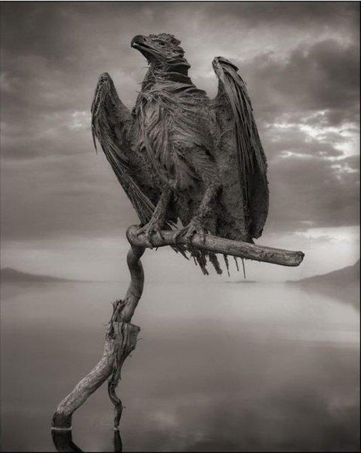 <b>te o fotoraflardan en etkileyici olanlar...</b>