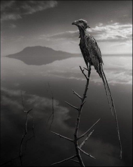 "Kutunun zerindeki btn mrekkepli yazlar annda kaybolup gitti, inanlmazd." diyor.