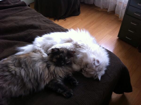 <br>Ali Murat Hamarat </br>  De kardeini imdiden ok zlemi olsa gerek.