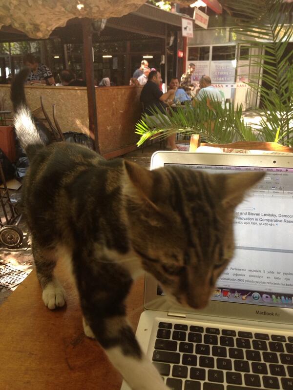 <br>Bulent Aras </br>  Yaznn bir ka karakteri tatl misafire ait:) plagiarism saylr m acaba?