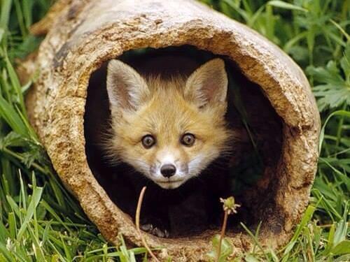 <br>Sevim Gzay </br>  Gunaydin bu arada