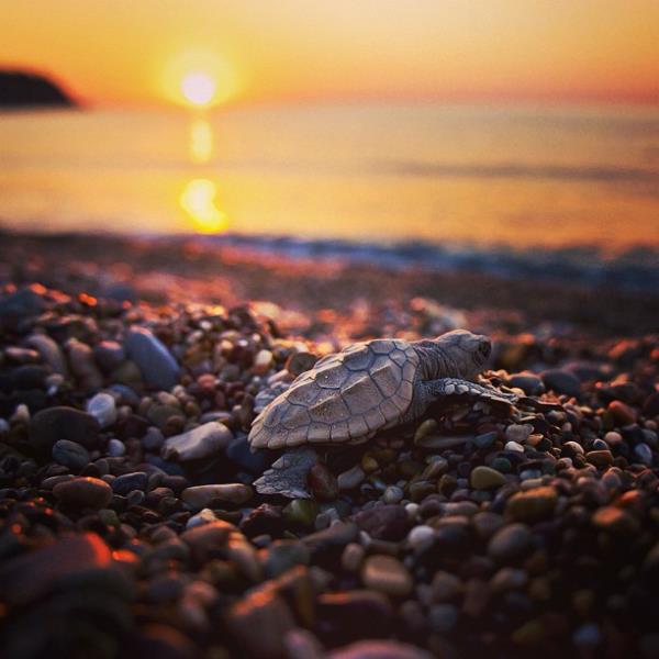 <br>Ergun Babahan </br>  mustafaseven'in fotoraf