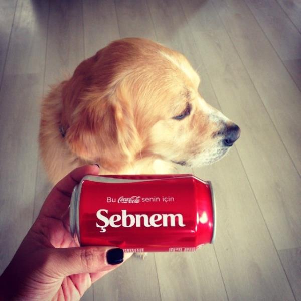 <br>ebnem Bozoklu </br>  Kutuyu bi atm bu kt. Barny ok kskand! Teekkrler :)