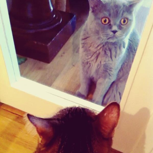 <br>Reyhan Karaca</br>  Oyun oynamanin binbir cesitini ogreniyoruz:)bu kapali gorus sahasi oyunu:))