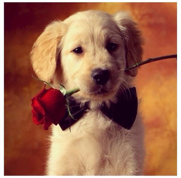 <br>Helin Avar </br>  unabakn