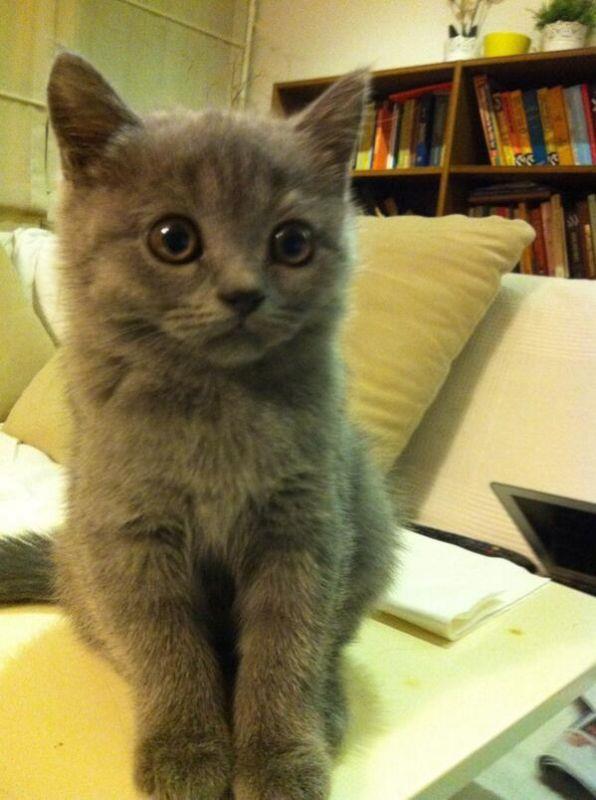 <br>Ceyda Karan</br>  Evin yeni sahibi...