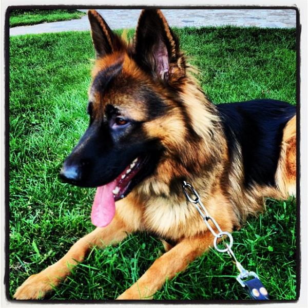 <br>Elif Aktu</br>  Seni kocakafal seni:)