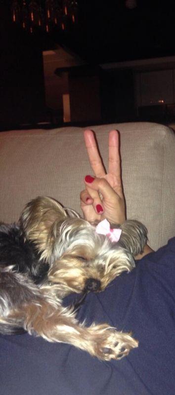 <br>Ece Erken @eceerken </br>  Kucamda uyuyan bi angel var&#9786;&#65039;hareket edemiyorum uyanmasn diye