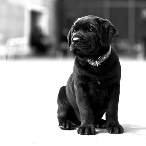 Ergun Babahan @ebabahan