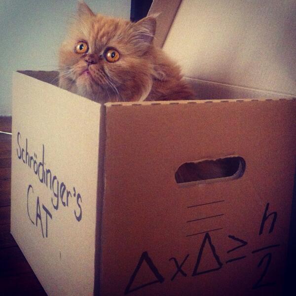 <br>Ekin Trkmen </br>  Whatever works