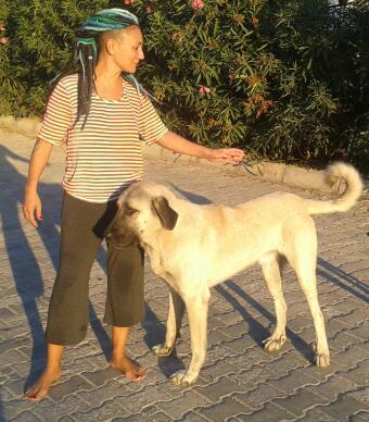 <br>ZLEMTEKN </br>  yeni kpeeeemmm