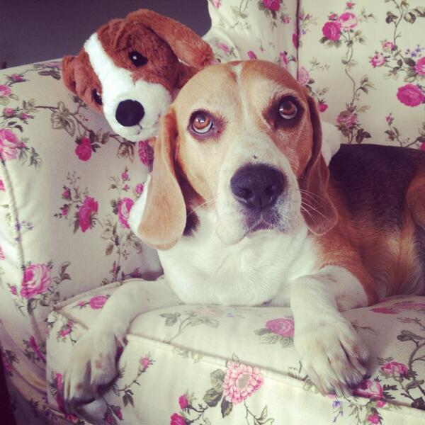 <br>Doa Rutkay </br>  Arkada geldi