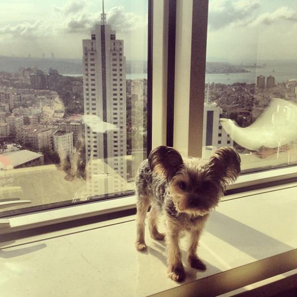 <br>Ece Erken </br>  Mutlu sabahlar angella balar