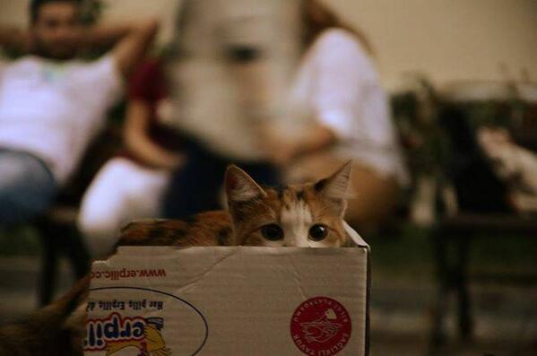 <br> Sevin Eratalay</br>  istanbul tekniin minnou :)