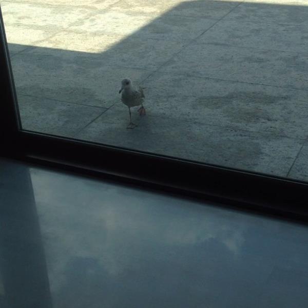 <br>Hac Sabanc </br>  apal ya:))