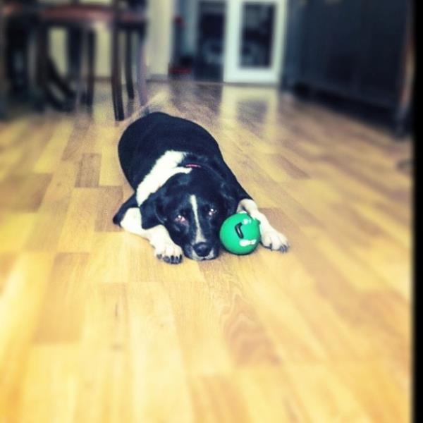 <br>Reyhan Karaca </br>  Canim Maylo?m..iyi kalpli prensim