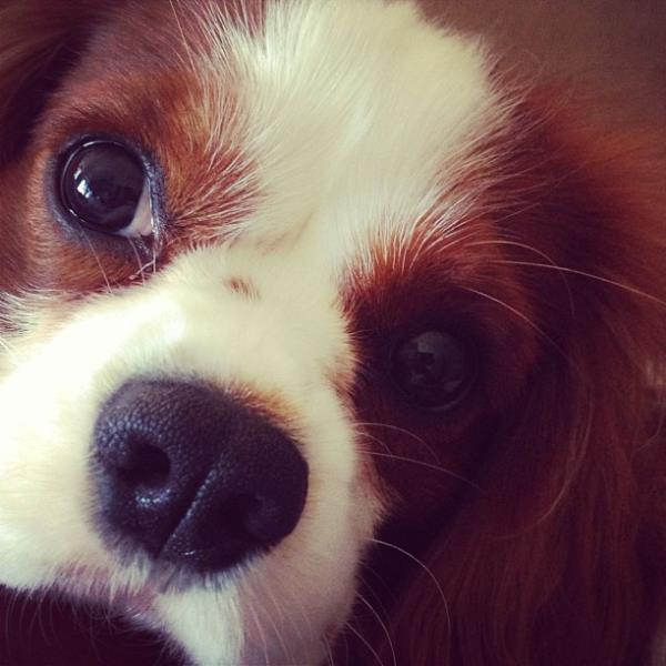 <br>Ayse zylmazel </br>  Gnei yakalayn yamurlara aldrmayn!