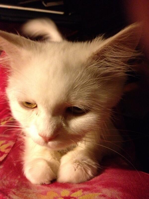 <br>Yazgl Aldoan </br>  Kucamda byle gzkyor ama kulann arkadn kamakyerine telefona baktm in ksp kalkt hakl tabii