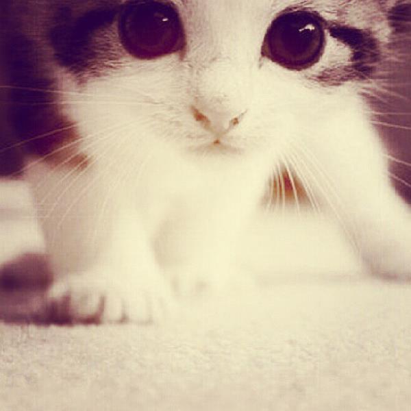 <br>Metin Arolat </br>  Tipini srdmnnn :)