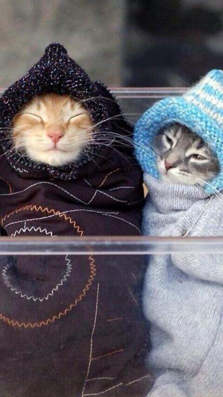 <br>Serdar nan @mimarserdarinan </br>   K geldi akam yatarken stnze birey aln, ben sabahtan beri mahfoldum