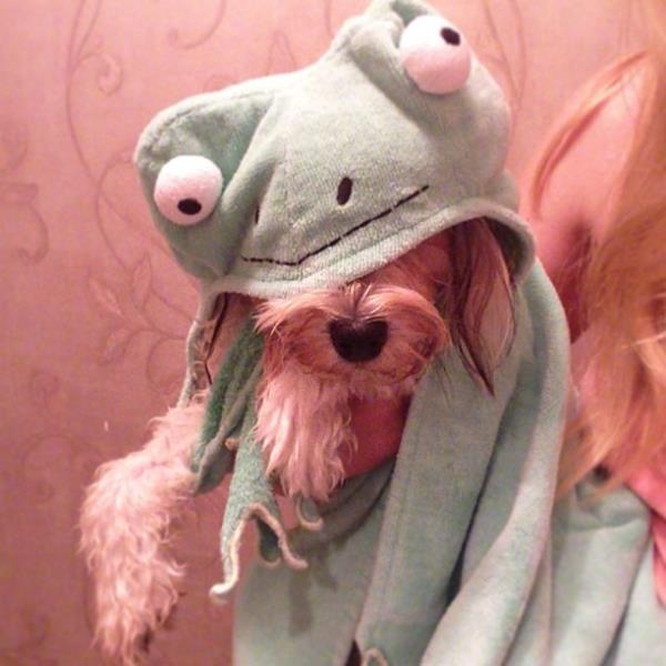 <br>Derya ensoy </br>  gnaydn