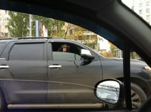 Direksiyon bandaki ofrlerin en ilgin anlar sosyal medyada paylam rekorlar kryor