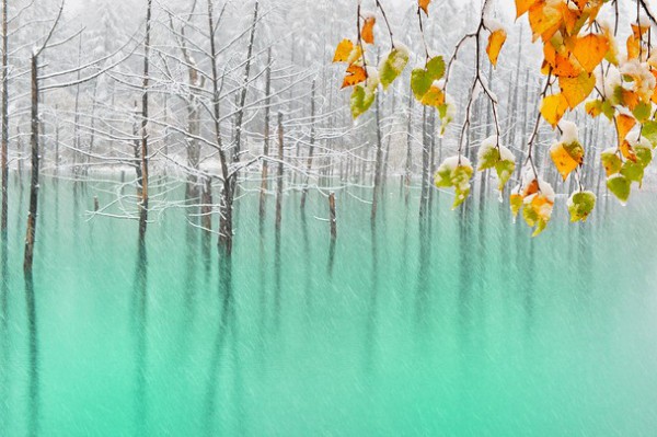 <br><b>Green Pond & First Snow&#12289;Hokkaido - Yeil Glet & lk Kar</b></br>  Kent Shiraishi'ye ait olan bu kare, Japonya'dan.