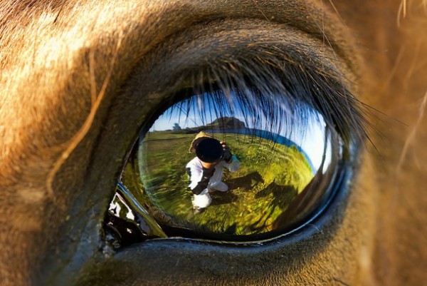 <br><b>Communion - Komnyon</b></br>  Yine bir Yoo Hwa-Young fotoraf, yine Jeju Adas, Kore'den.