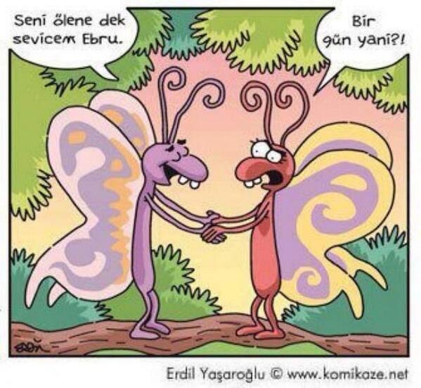 <br> Ebru Polat</br>  He canm he...