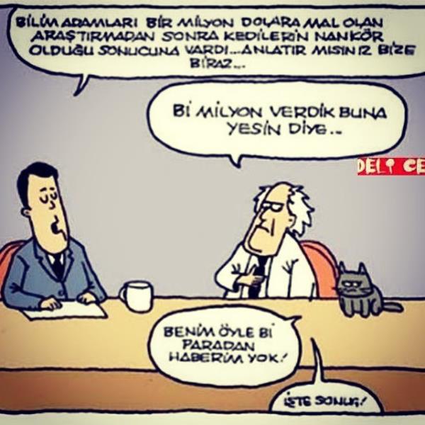 <br>Ceyhun Ylmaz</br>  Ve... Kedi'den ilk aklama