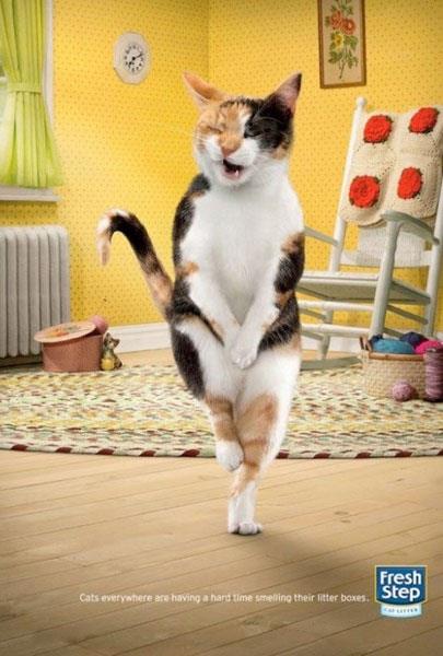 Reklam d�nyas�n�n en tuhaf afi�lerini g�rmeye haz�r olun!