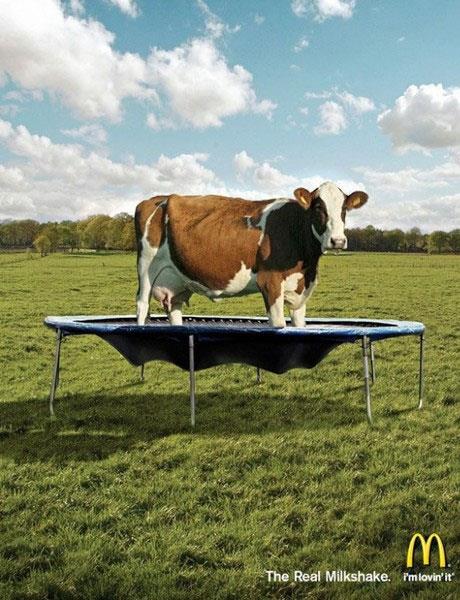 Reklam d�nyas�n�n en tuhaf afi�lerini g�rmeye haz�r olun!