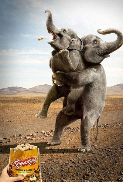 Reklam d�nyas�n�n en tuhaf afi�lerini g�rmeye haz�r olun!