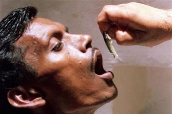 Balk yutma: Bombay?da bir astm hastas tedavi iin i balk yutuyor.