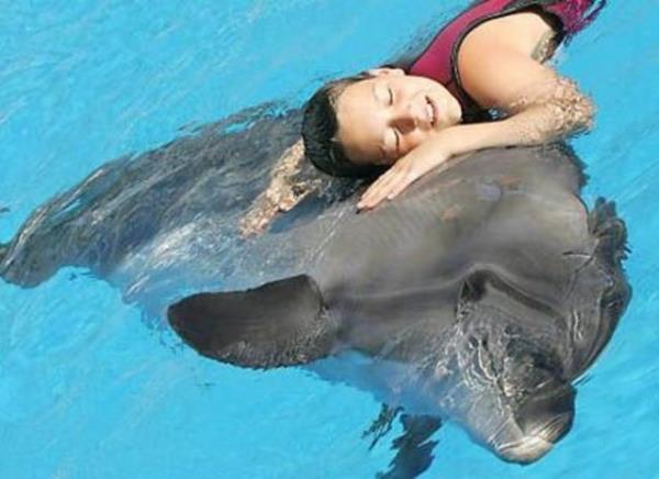 Yunuslar izlemek de en az bir psikolog kadar ie yarayabilir.