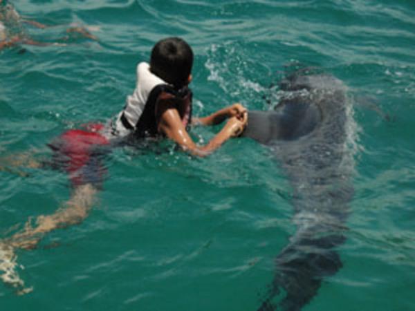 Yunus tedavisi: Psikolojik tedavi iin psikologlara milyonlar harcamanz gerekmez.