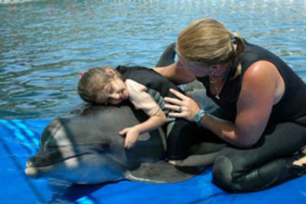 te bu tedavi ynteminde sadece yunuslar izleyip dalga seslerini dinleyerek rahatlyorsunuz.