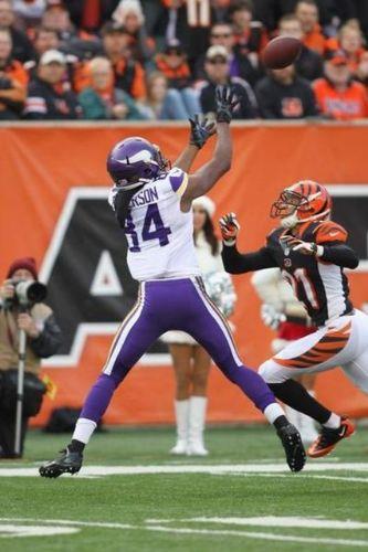 34- Minnesota Vikings - Deer: 1.007 milyar Dolar