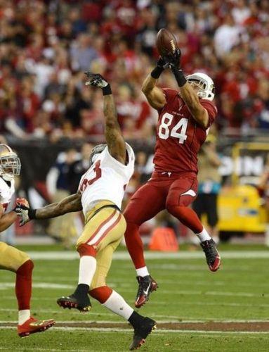 40- Arizona Cardinals - Deer: 961 milyon Dolar