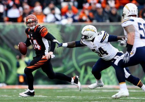 43- Cincinnati Bengals - Deer: 924 milyon Dolar