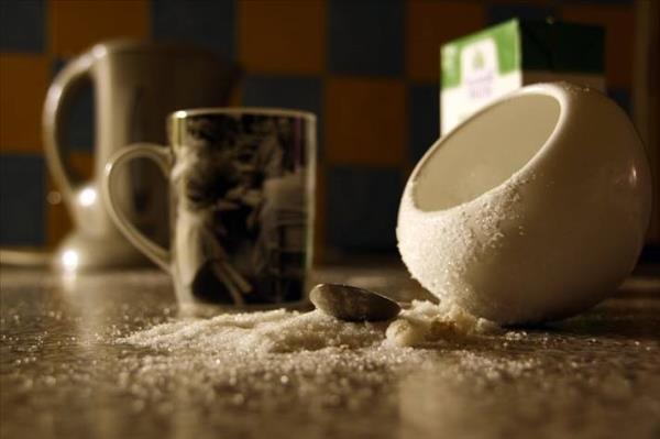 (10 gn sonra) Marketlerdeki ve buzdolaplarmzdaki gda maddeleri bozulmaya balyor. Evimizde beslediimiz hayvanlar dar kamadklar takdirde lm olacak. Ama onlar iin dar kmak demek hayatta kalmak demek deil. Fare gibi hayvanlar yavatan evleri igal etmeye balayacak.