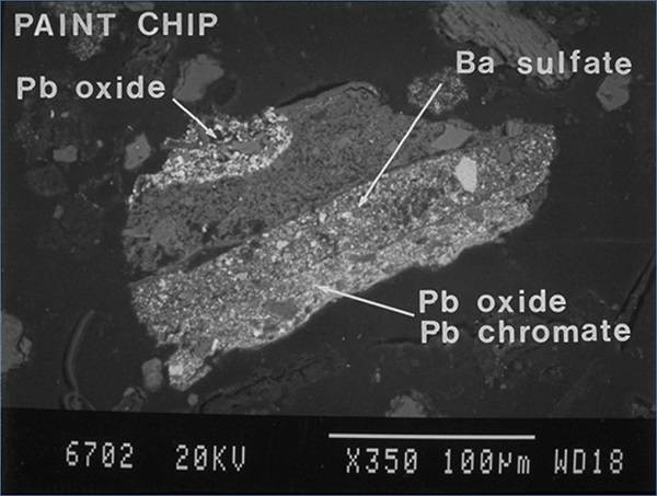 (35.000 yl sonra) Bu maddeden sonras biraz daha derin. nsana ait hemen hemen hibir ey kalmad iin, Dnya artk insann doaya verdii hasar gidermekle megul. Bu hasarlardan biri de kurun. nsanolunun endstriyel atklar sonucu toprakta birikmeye balayan kurun, 35 bin yl sonra topraktan temizlenmi olacak.